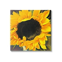 Stupell Industries podebljana žuta ljetna ljetna suncokretu izbliza cvjetanje grafičke umjetničke galerije omotana