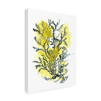 Zaštitni znak likovna umjetnost 'Citron Sea Kelp II' Canvas Art do lipnja Erica Vess