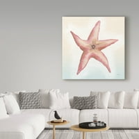 Zaštitni znak likovna umjetnost 'Boardwalk Starfish' platno umjetnost Elyse Deneige