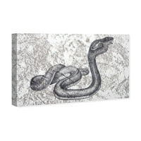 Wynwood Studio Animals Wall Art Canvas Otisci 'Serpiente Dos' Zoo i divlje životinje - siva, bijela