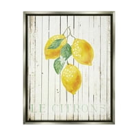 Stupell le citrons limunovo voće rustikalna hrana i pića slikanje siva floater uokvirena art print zidna umjetnost