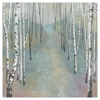 Srebrna stabla staza I Tania Bello Birch drveće platno umjetnost